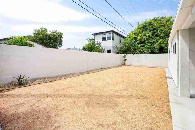 An empty backyard with two plant.